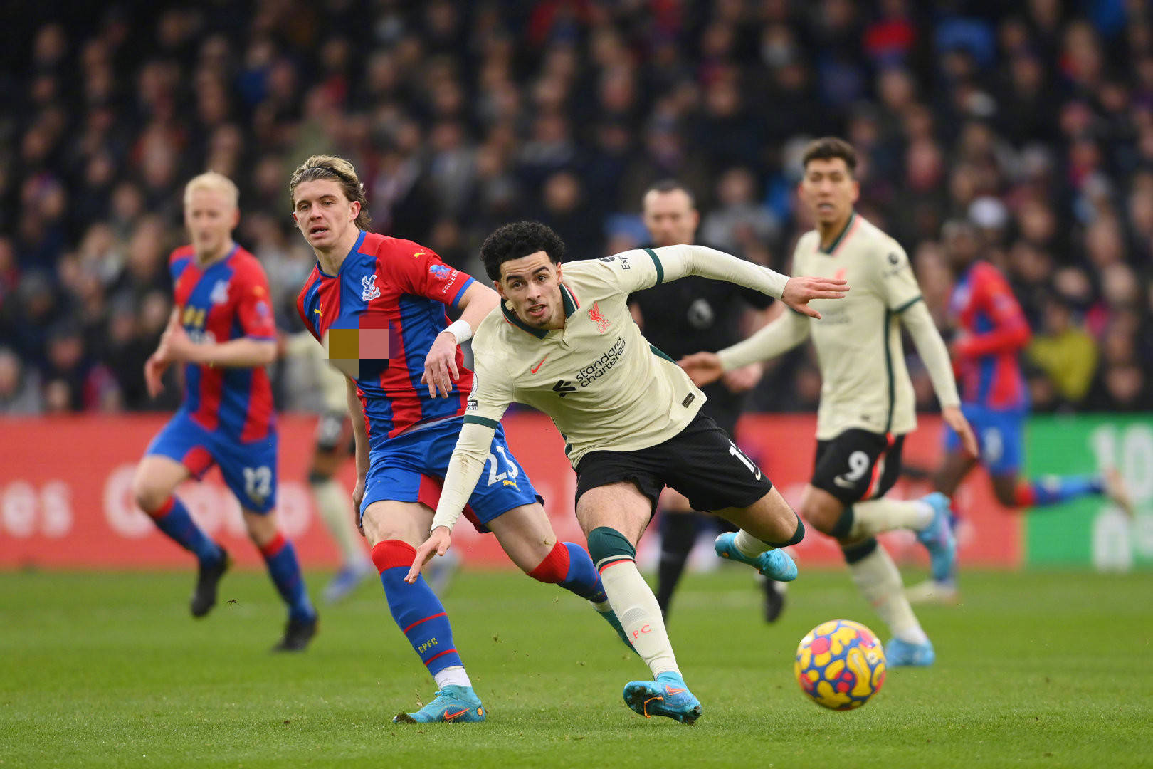 与大马丁的 与大马丁的